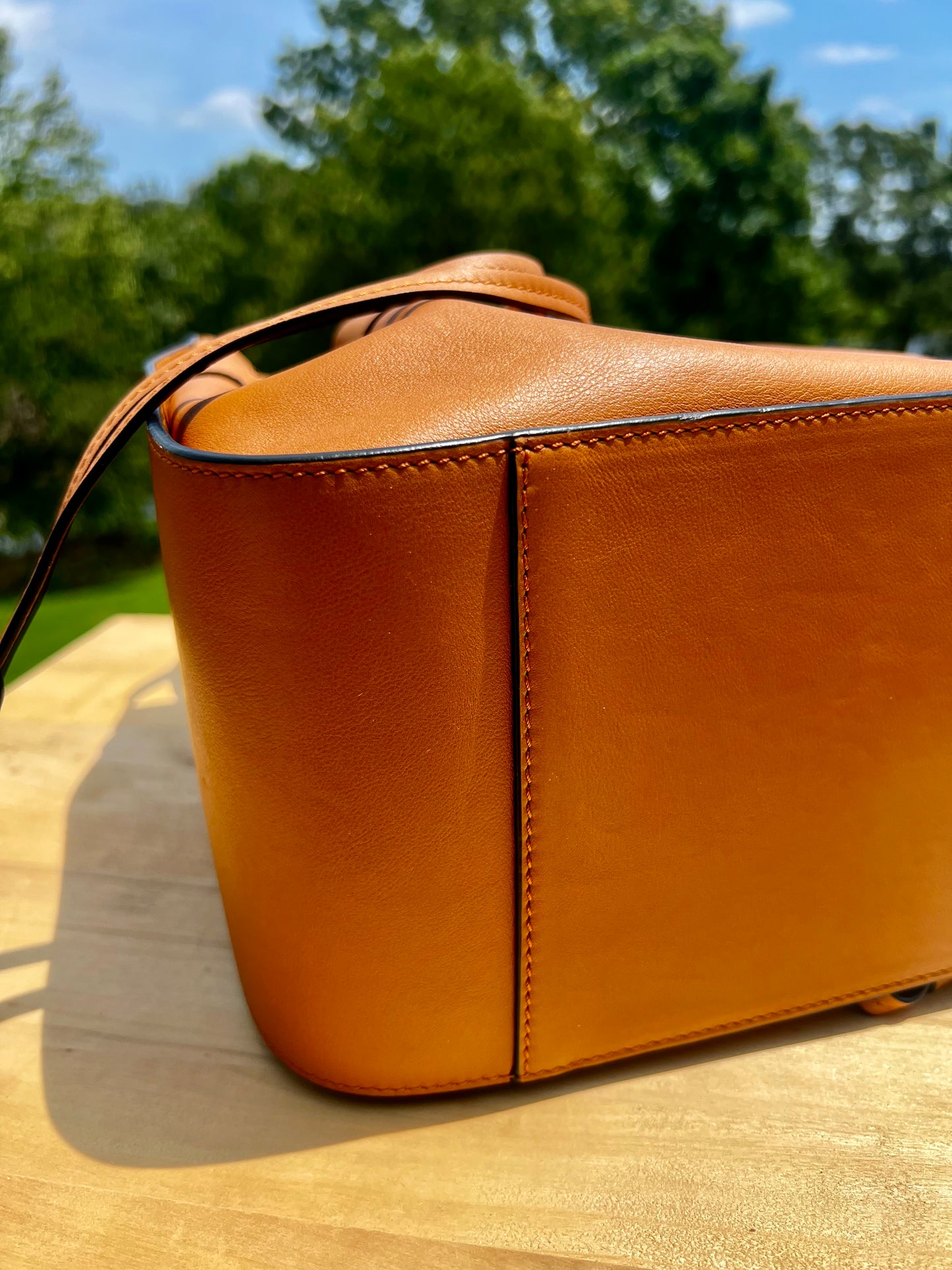LOEWE Small Hammock Bag in Classic Calfskin Tan