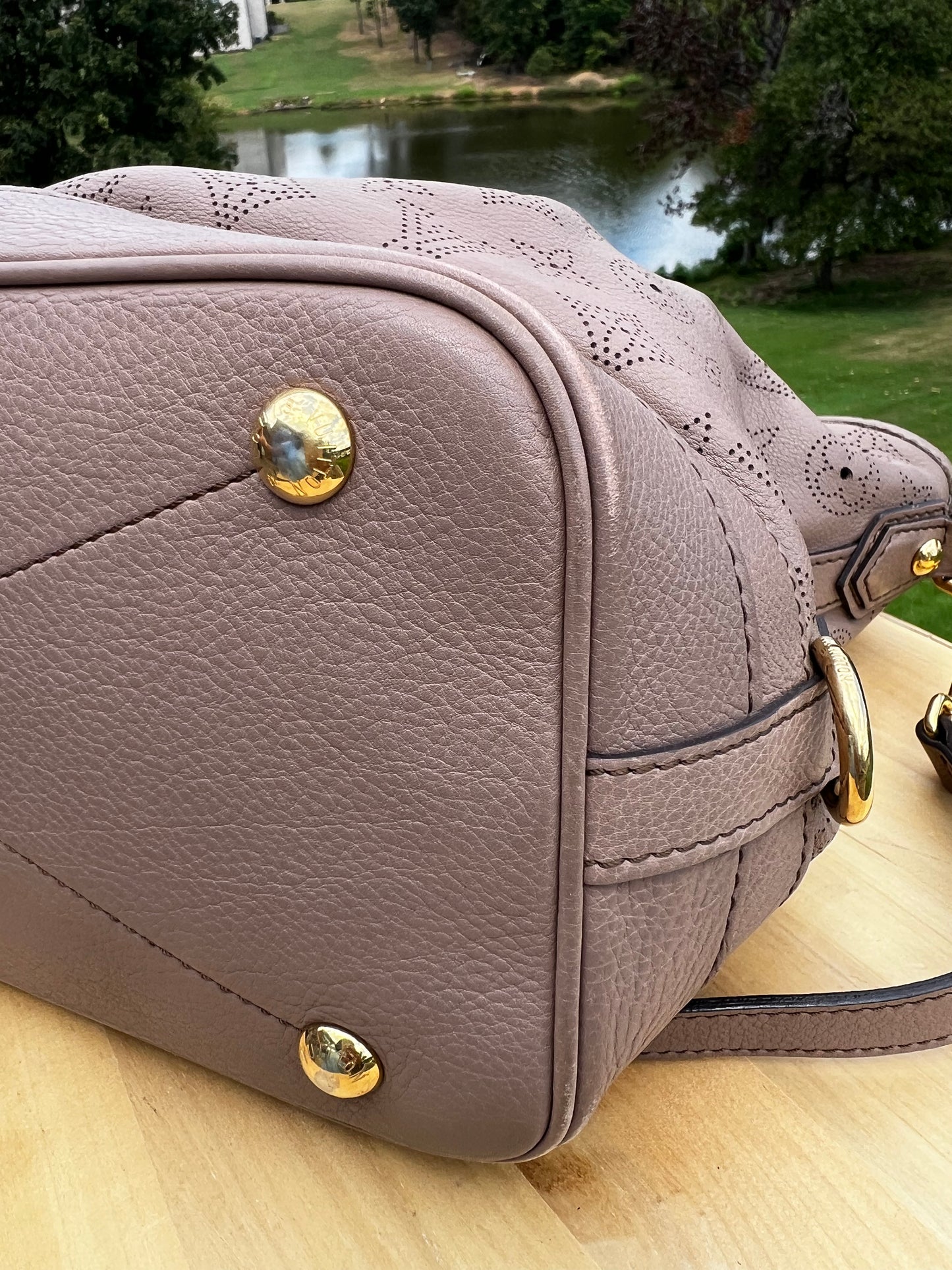 LOUIS VUITTON Poudre Mahina Leather Stellar PM Bag