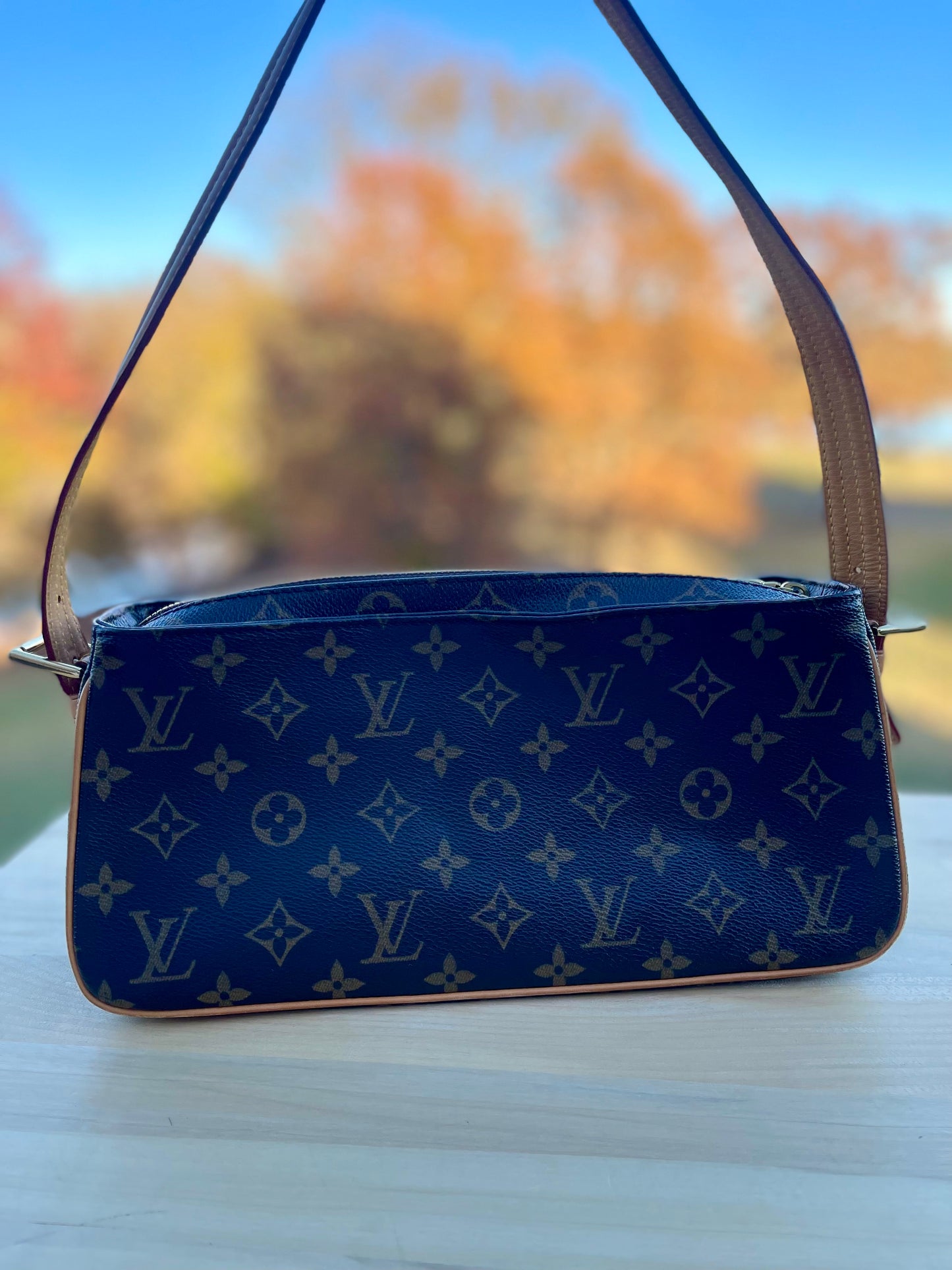 LOUIS VUITTON
Monogram Viva-Cite MM