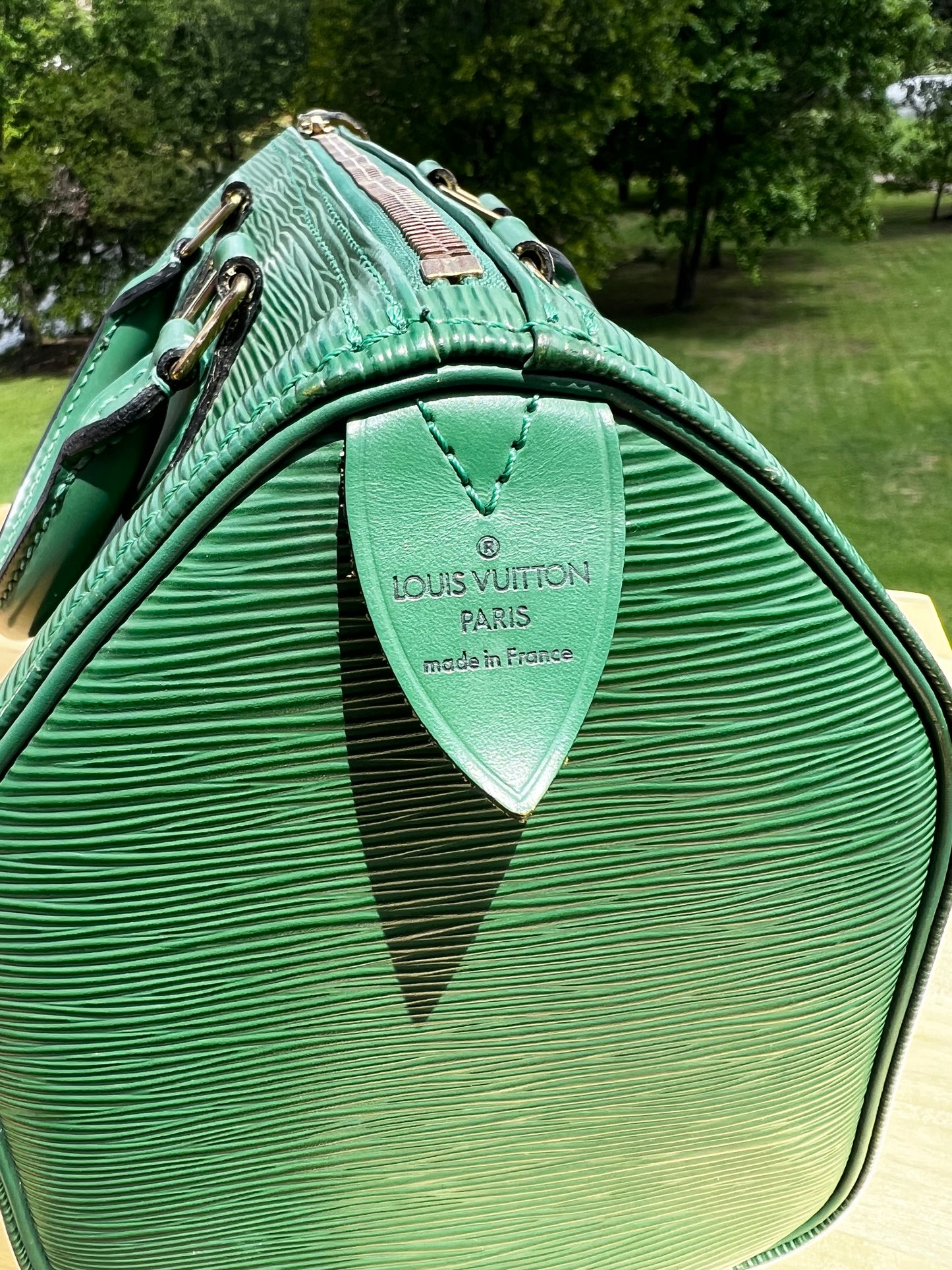Louis Vuitton Epi Speedy 25