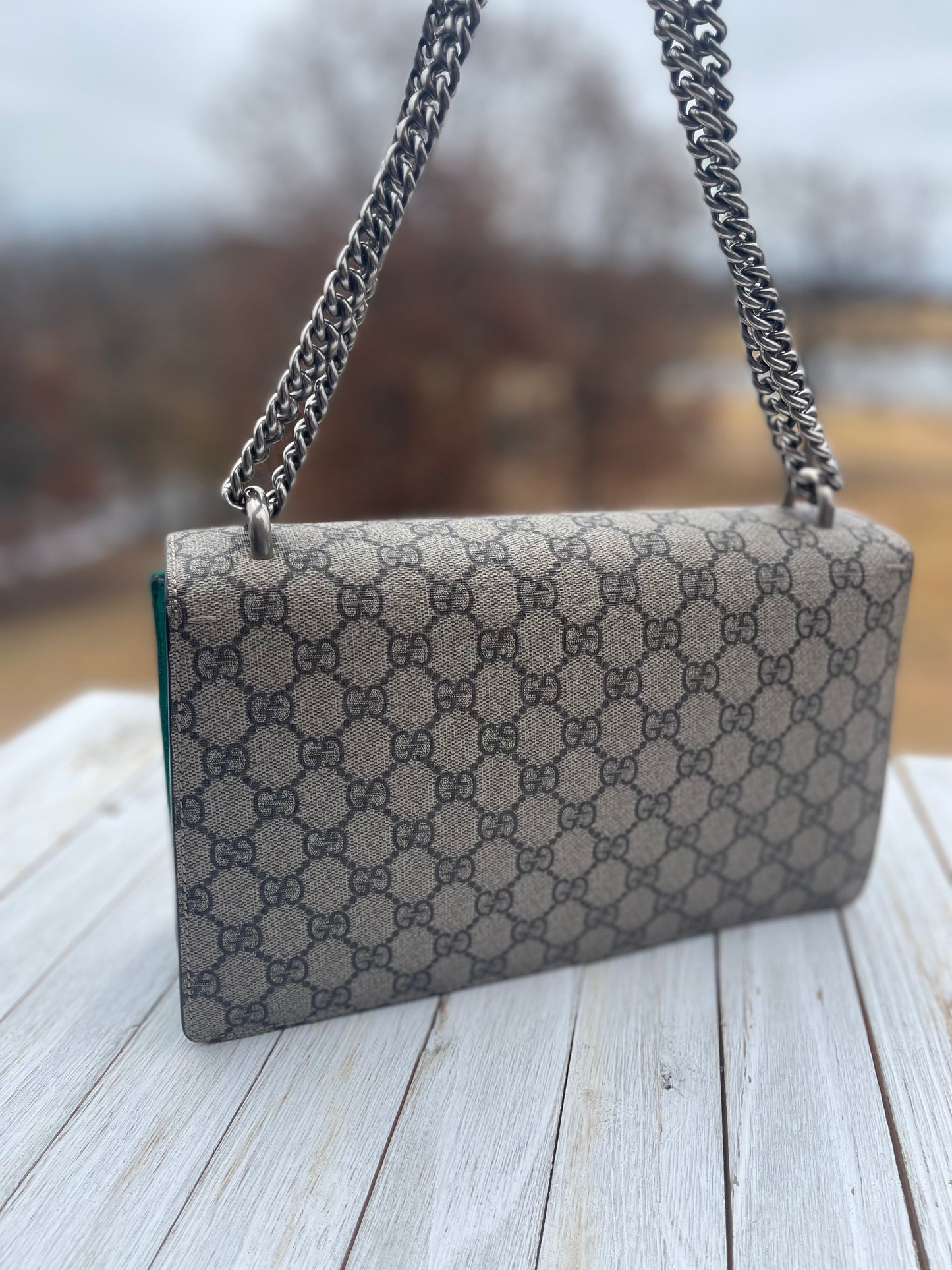 GUCCI
GG Supreme Monogram Willow Hill Embroidered Small Dionysus Shoulder Bag Emerald
