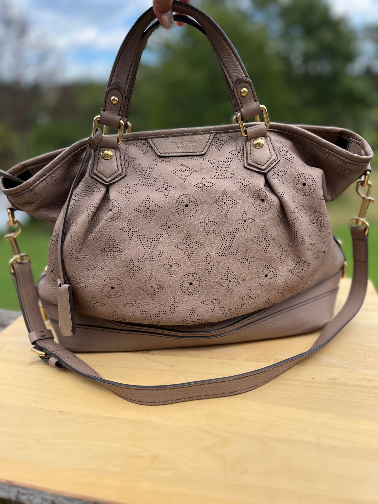 LOUIS VUITTON Poudre Mahina Leather Stellar PM Bag