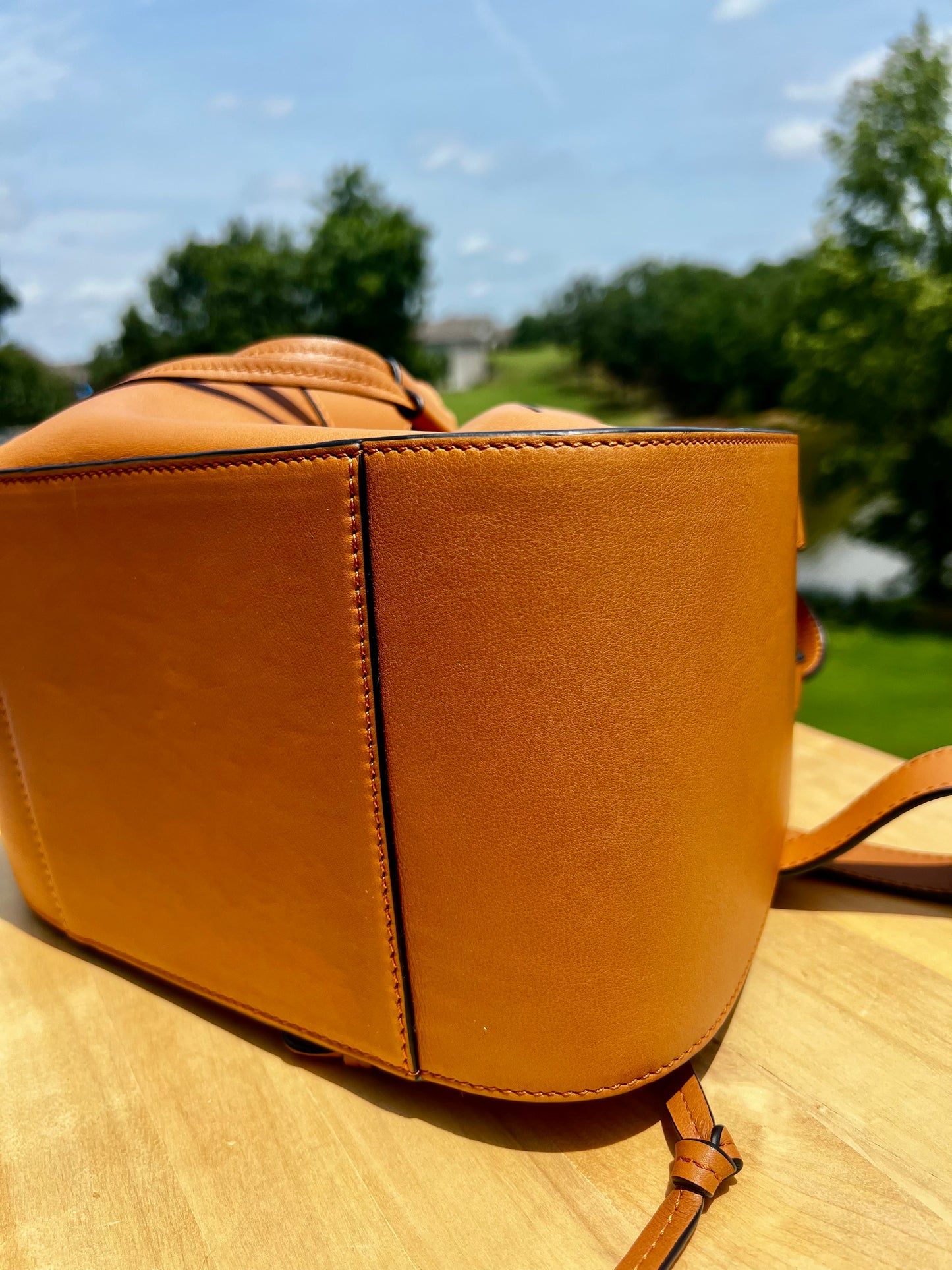 LOEWE Small Hammock Bag in Classic Calfskin Tan