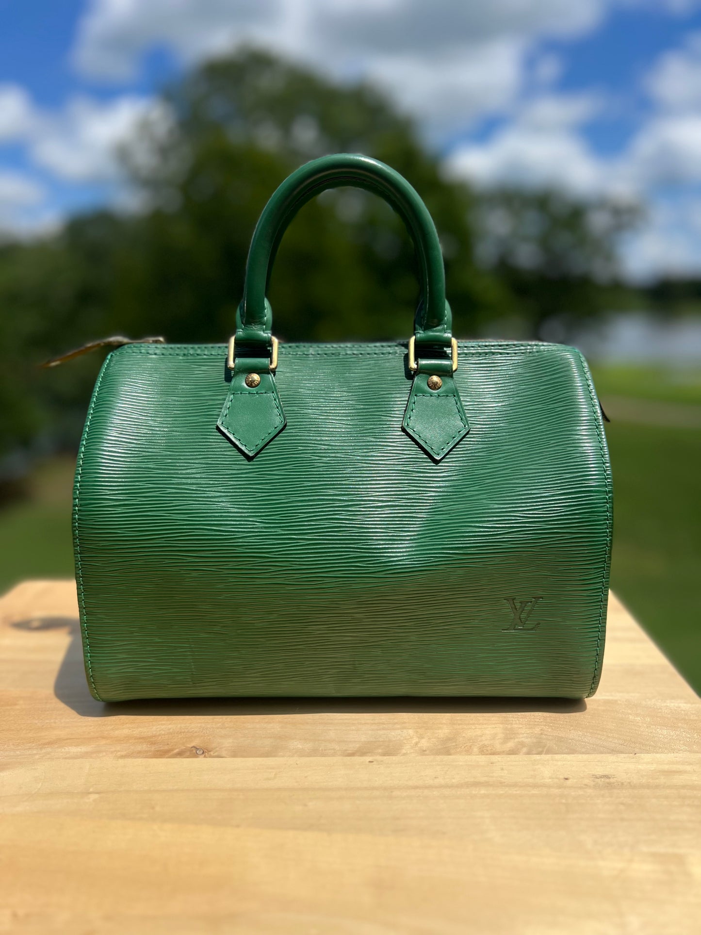 Louis Vuitton Epi Speedy 25