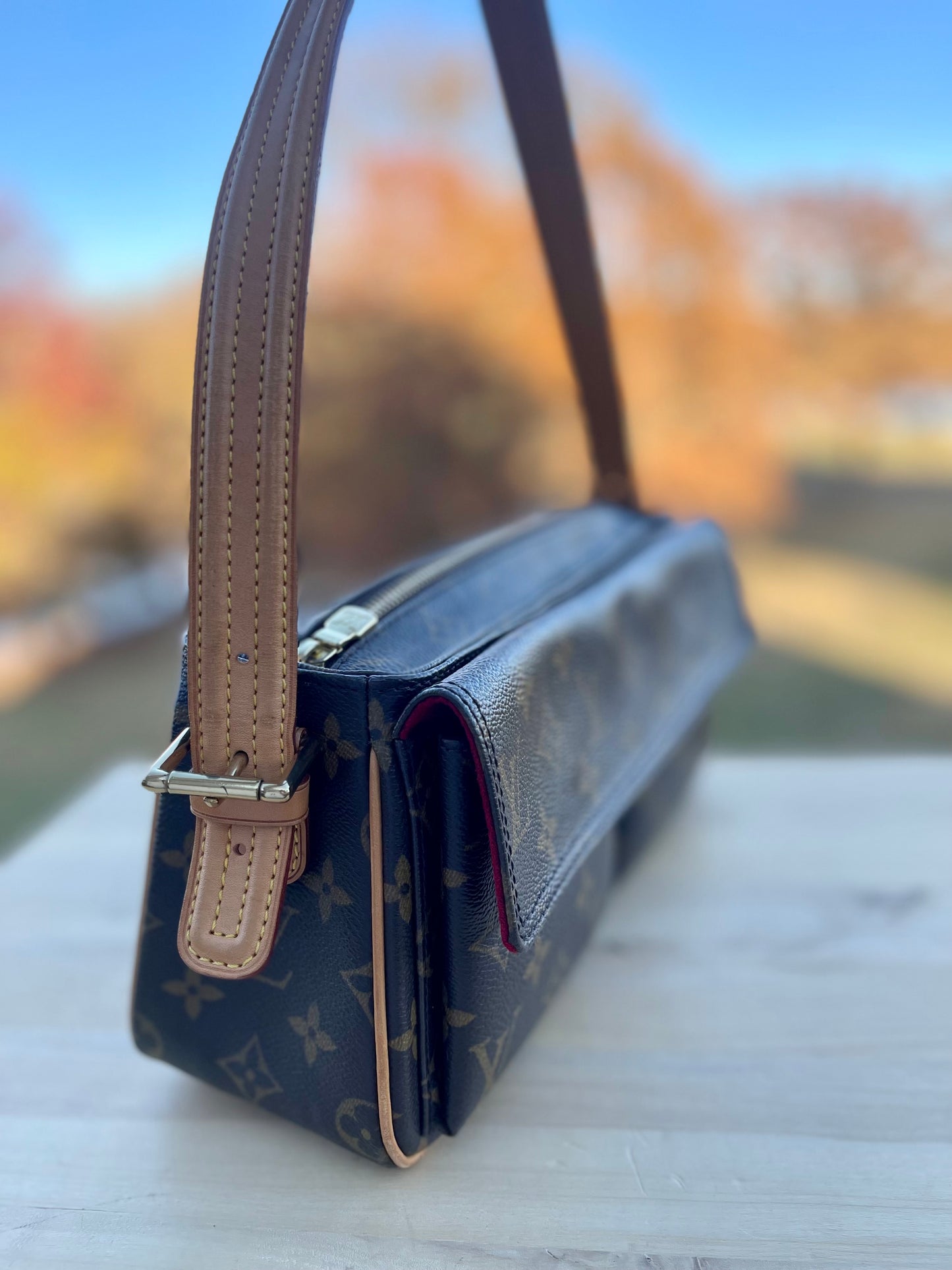LOUIS VUITTON
Monogram Viva-Cite MM