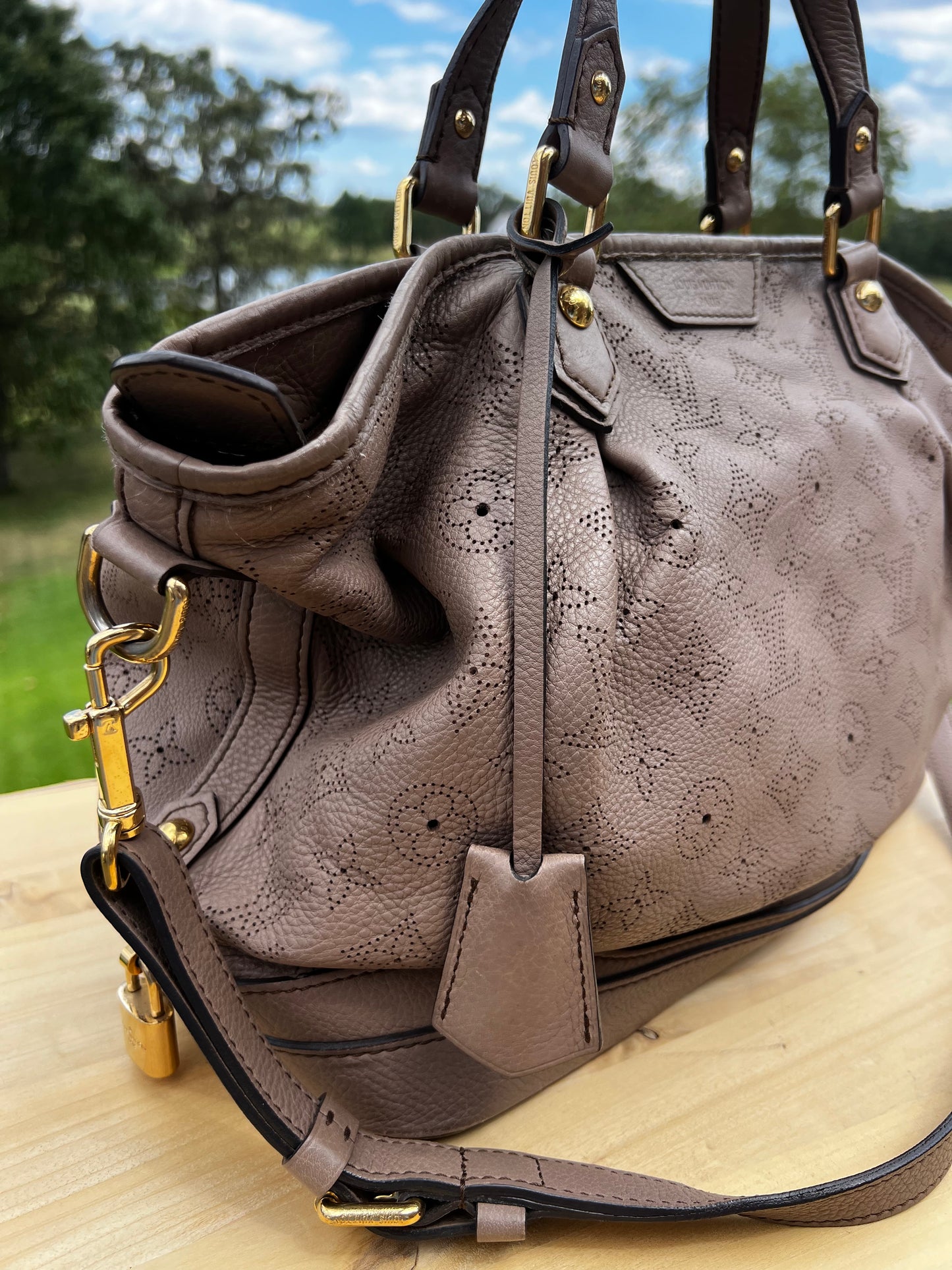 LOUIS VUITTON Poudre Mahina Leather Stellar PM Bag