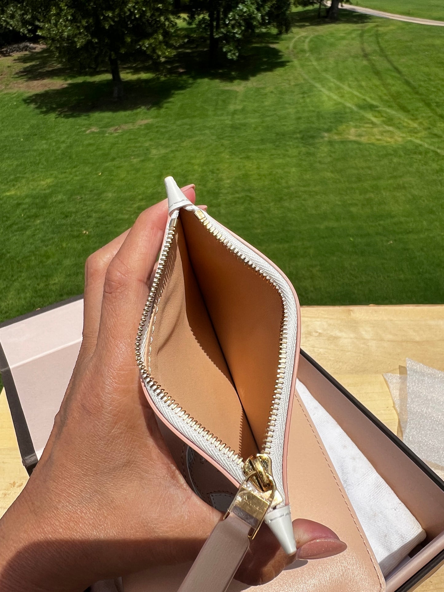 DELVAUX Beige Magritte Card Case