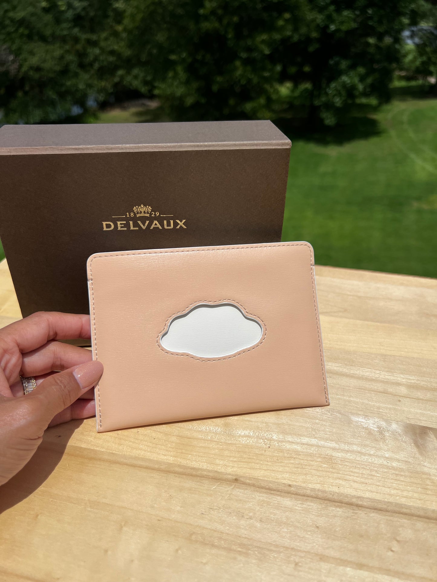 DELVAUX Beige Magritte Card Case