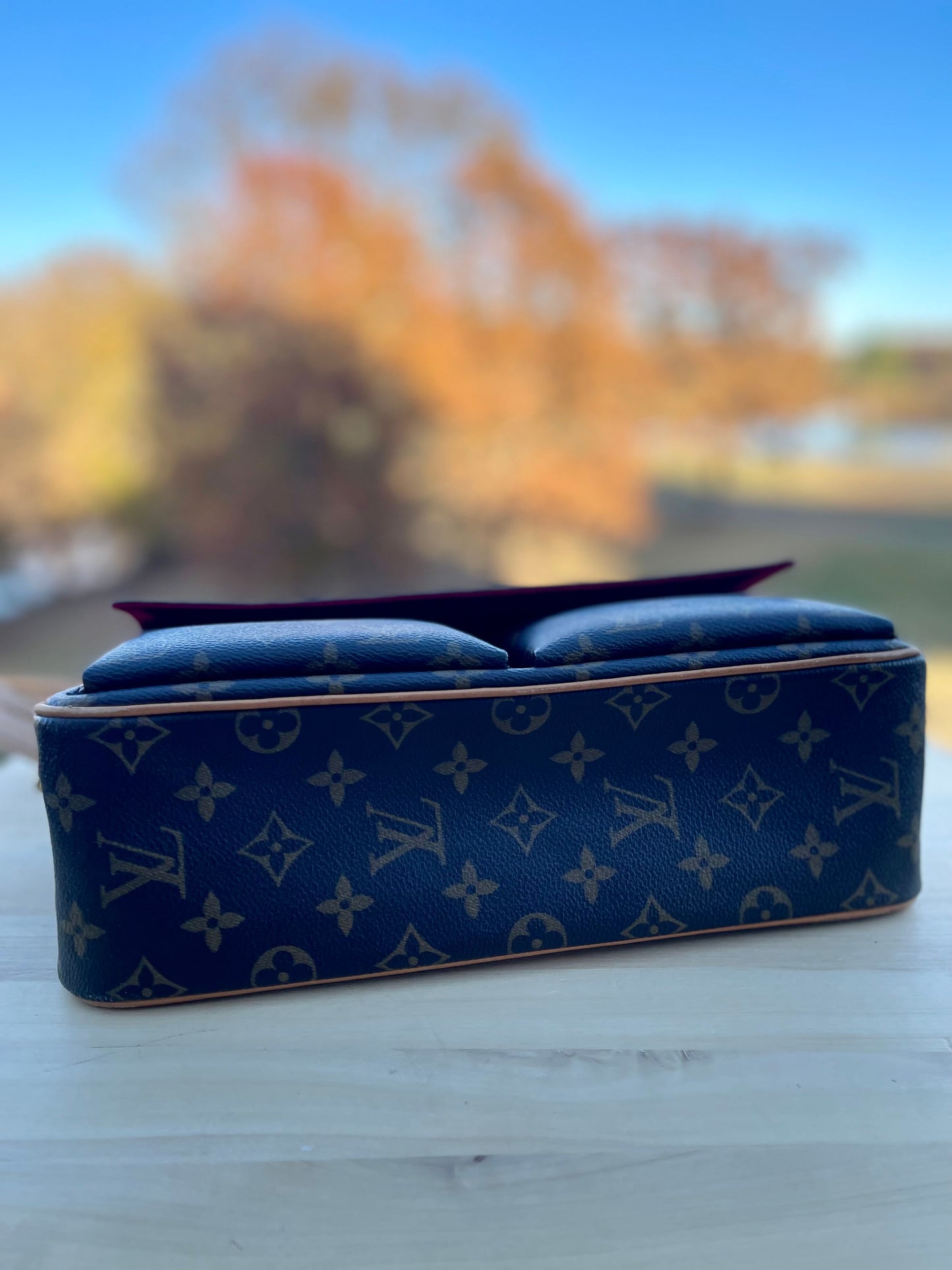 LOUIS VUITTON
Monogram Viva-Cite MM