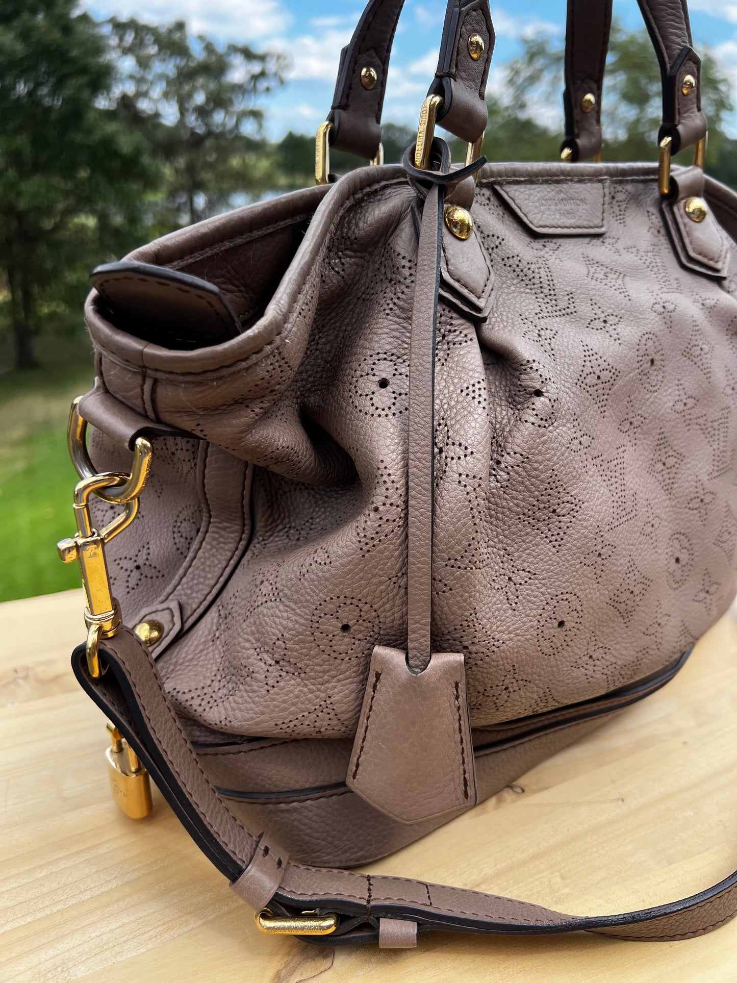 LOUIS VUITTON Poudre Mahina Leather Stellar PM Bag