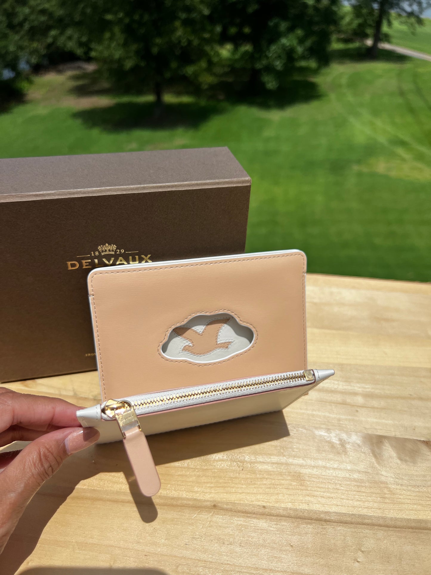 DELVAUX Beige Magritte Card Case