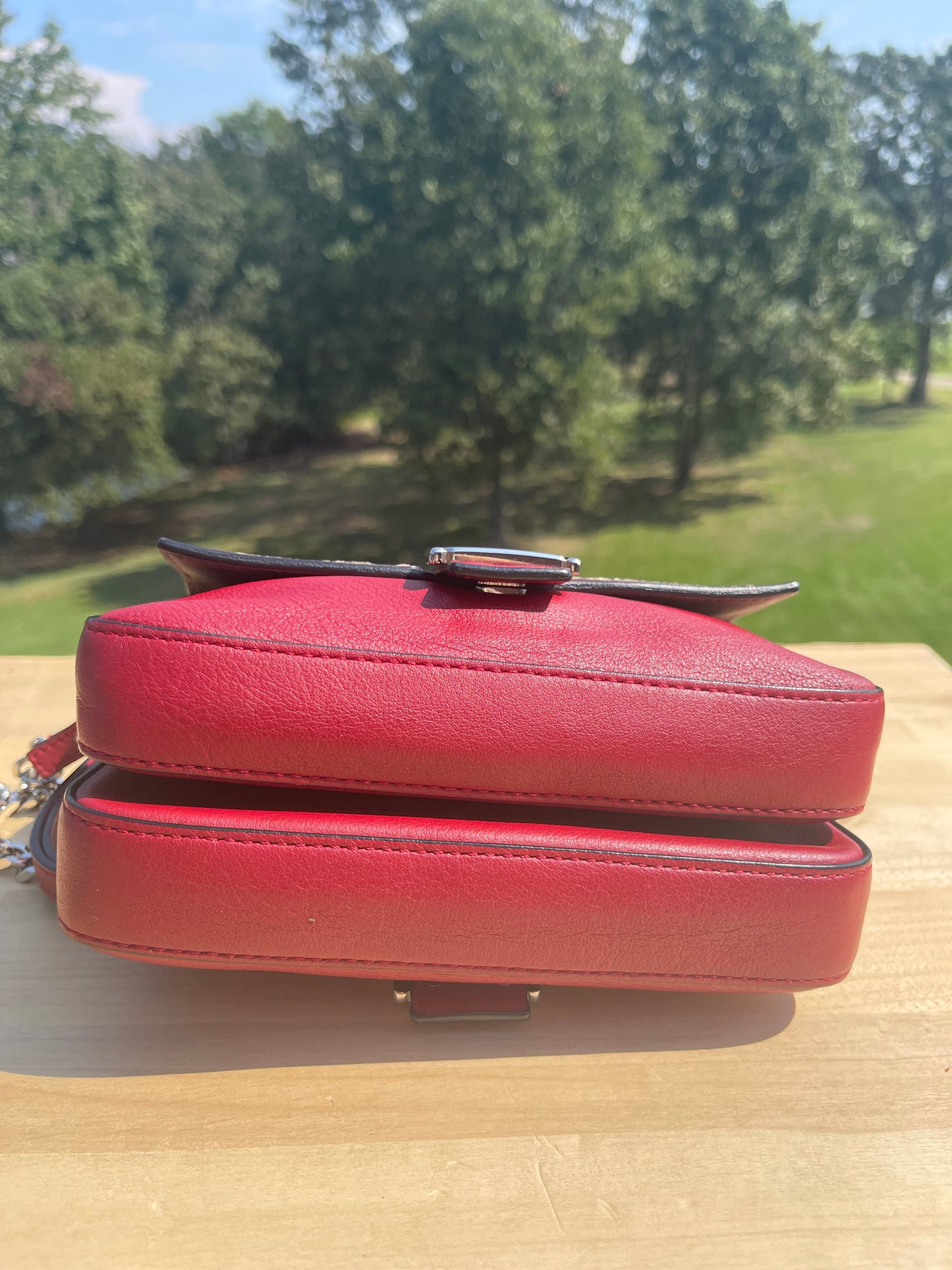 FENDI
Vitello Dolce Elaphe Monster Eyes Micro Double Baguette