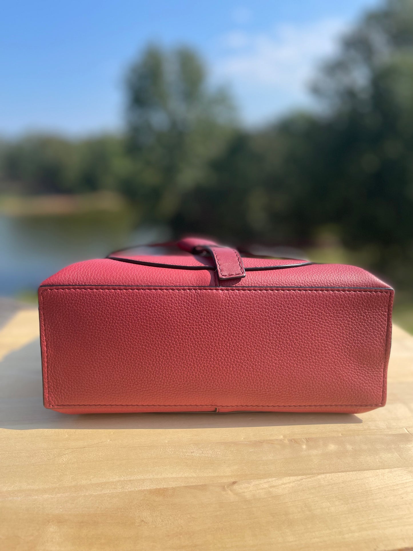 LOEWE 
Calfskin Mini Gate Tote Burgundy