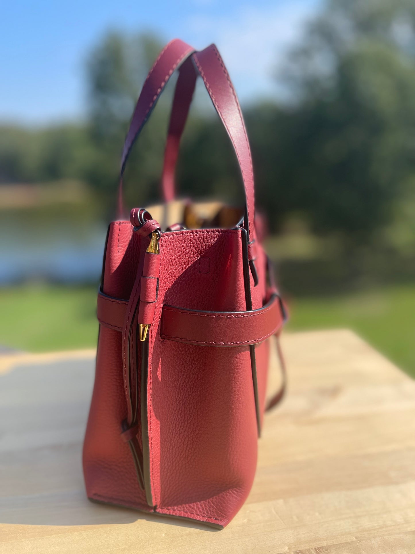 LOEWE 
Calfskin Mini Gate Tote Burgundy