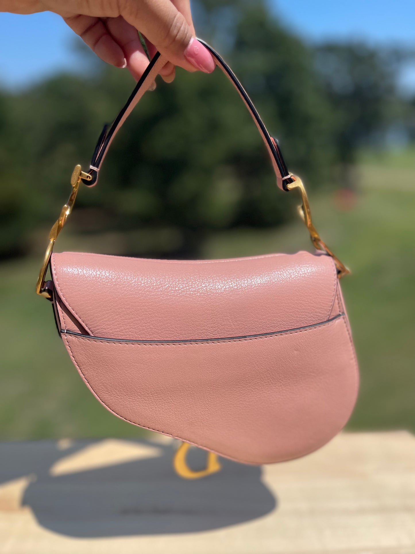 CHRISTIAN DIOR 
Calfskin Mini Saddle Bag and Dior Oblique Strap